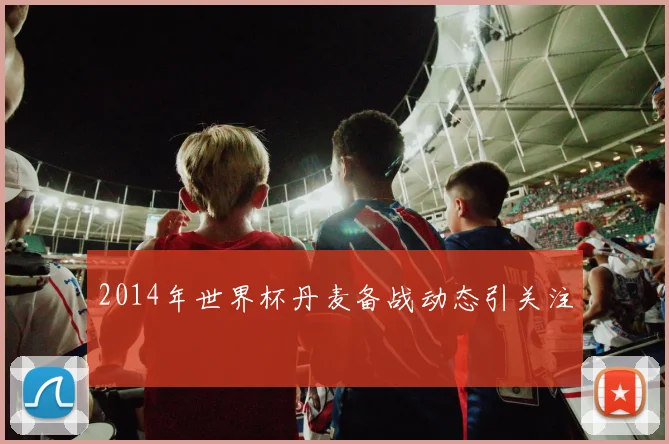 2014年世界杯丹麦备战动态引关注