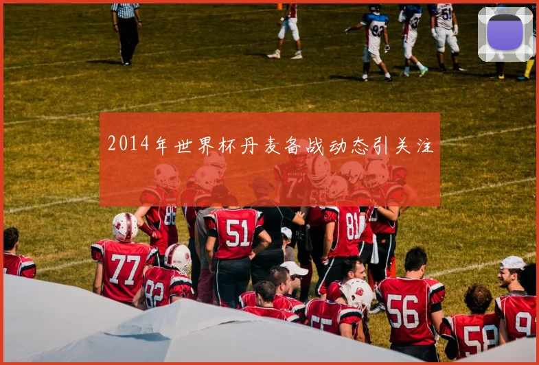 2014年世界杯丹麦备战动态引关注