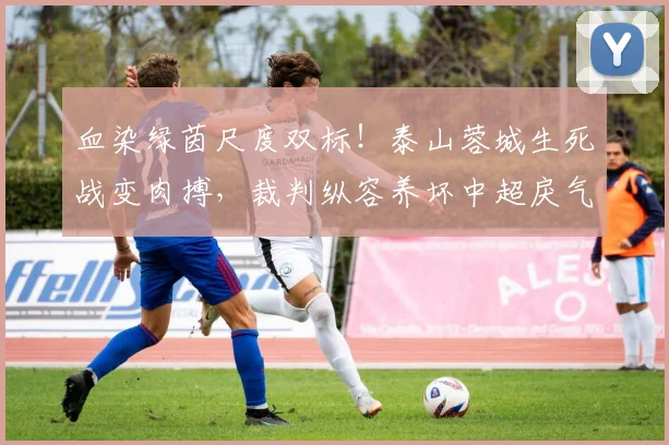 血染绿茵尺度双标！泰山蓉城生死战变肉搏，裁判纵容养坏中超戾气