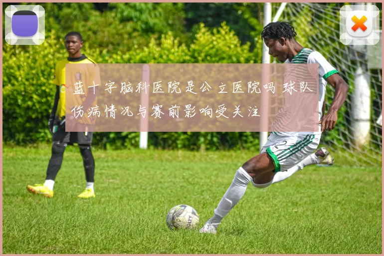 蓝十字脑科医院是公立医院吗 球队伤病情况与赛前影响受关注