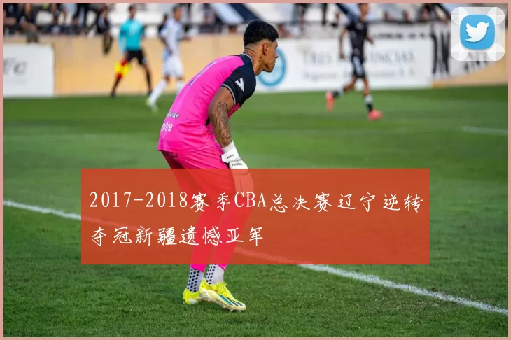 2017-2018赛季CBA总决赛辽宁逆转夺冠新疆遗憾亚军