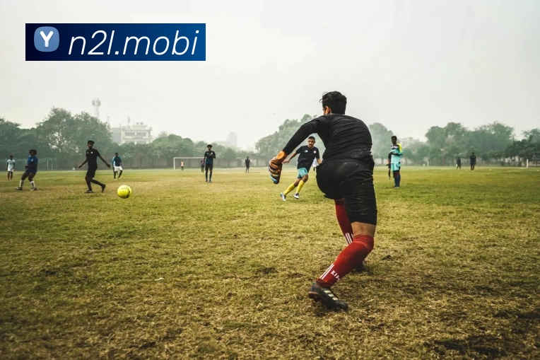 开云app官方在线入口 - 开云kaiyun(中国)平台生态图